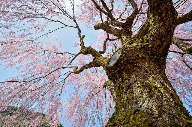 青空